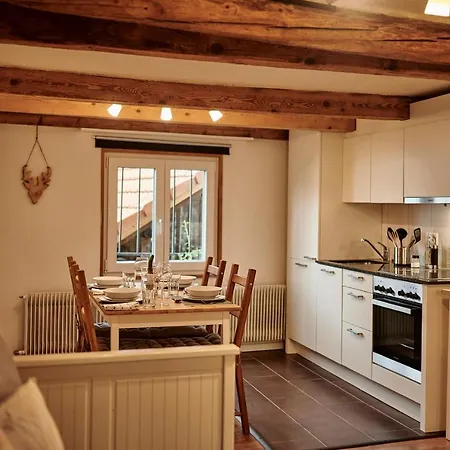 Lakeside Tiny House Brienz