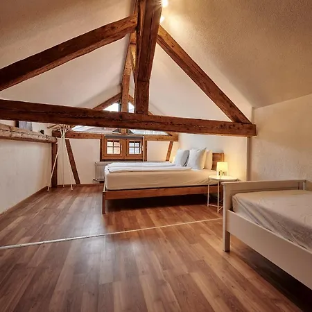 Lakeside Tiny House Brienz *