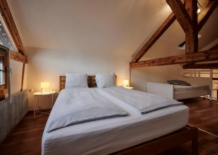 Lakeside Tiny House Alpehytte Brienz (Bern)