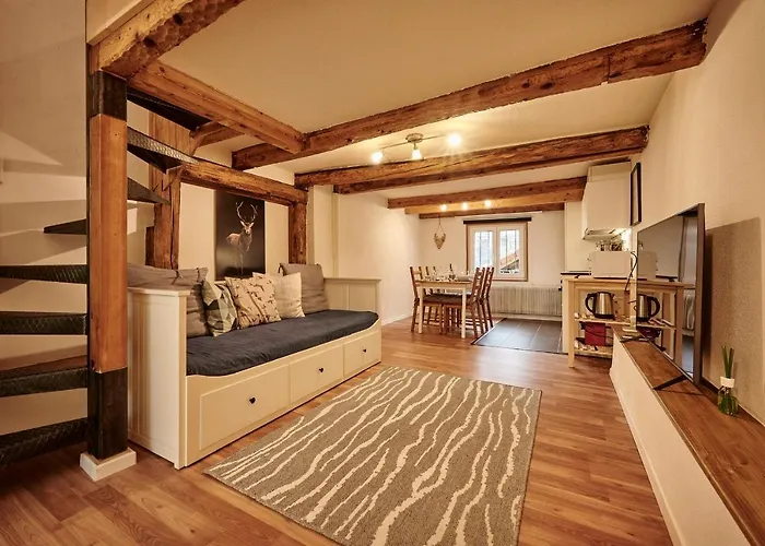 Lakeside Tiny House Alpehytte Brienz (Bern)