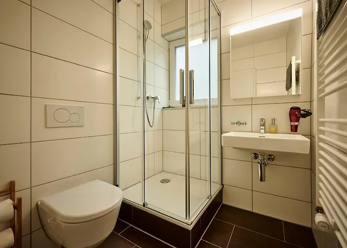 Alpehytte Lakeside Tiny House Brienz (Bern)